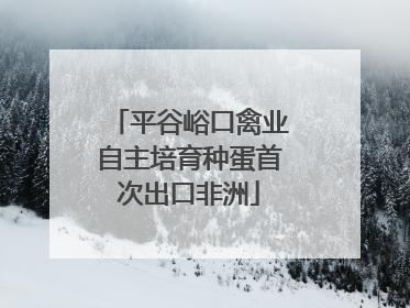 平谷峪口禽业自主培育种蛋首次出口非洲