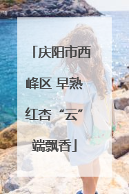 庆阳市西峰区 早熟红杏“云”端飘香