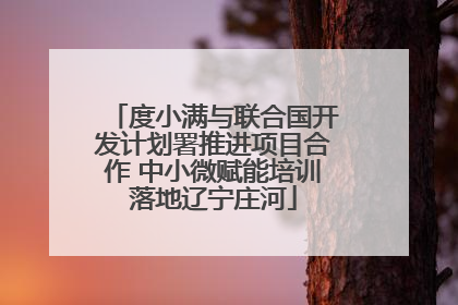 度小满与联合国开发计划署推进项目合作 中小微赋能培训落地辽宁庄河