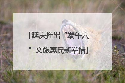 延庆推出“端午六一”文旅惠民新举措