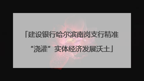 建设银行哈尔滨南岗支行精准“浇灌”实体经济发展沃土