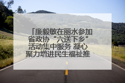 廉毅敏在丽水参加省政协“六送下乡”活动集中服务 凝心聚力增进民生福祉推进共同富裕