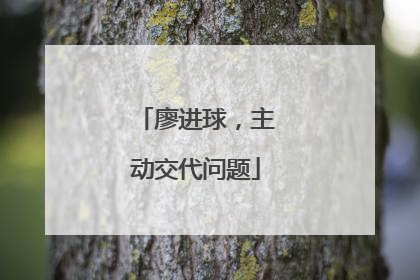 廖进球，主动交代问题