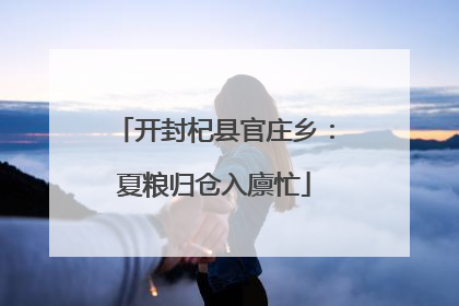 开封杞县官庄乡：夏粮归仓入廪忙