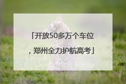 开放50多万个车位，郑州全力护航高考