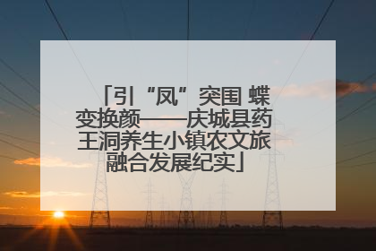 引“凤”突围 蝶变换颜——庆城县药王洞养生小镇农文旅融合发展纪实