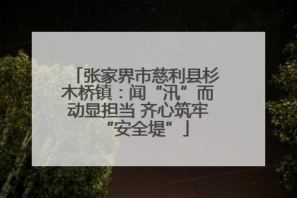 张家界市慈利县杉木桥镇：闻“汛”而动显担当 齐心筑牢“安全堤”