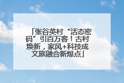 张谷英村“活态密码”引百万客！古村焕新，家风+科技成文旅融合新爆点