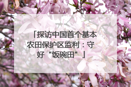 探访中国首个基本农田保护区监利：守好“饭碗田”