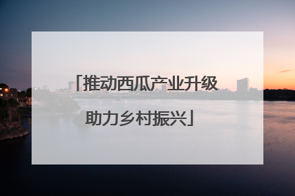 推动西瓜产业升级 助力乡村振兴