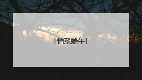 情系端午