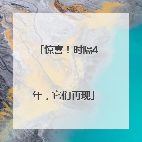 惊喜！时隔4年，它们再现