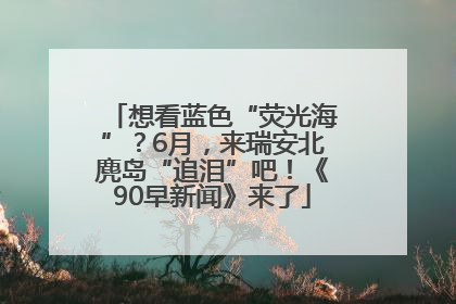 想看蓝色“荧光海”？6月，来瑞安北麂岛“追泪”吧！《90早新闻》来了