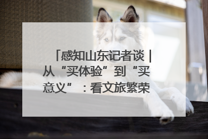 感知山东记者谈｜从“买体验”到“买意义”：看文旅繁荣背后的幸福新定义