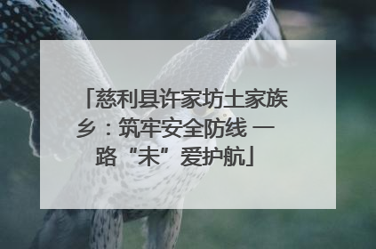 慈利县许家坊土家族乡：筑牢安全防线 一路“未”爱护航