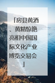 房县黄酒、黄精惊艳亮相中国国际文化产业博览交易会