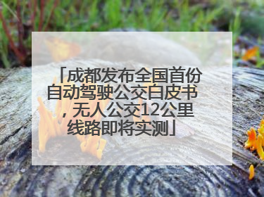 成都发布全国首份自动驾驶公交白皮书，无人公交12公里线路即将实测