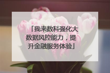 我来数科强化大数据风控能力，提升金融服务体验
