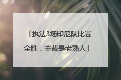 执法3场印尼队比赛全胜，主裁是老熟人