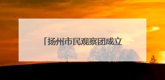扬州市民观察团成立20周年，198人团队用脚步丈量文明 让城市更有温度