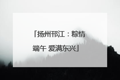 扬州邗江：粽情端午 爱满东兴