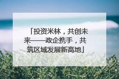 投资米林，共创未来——政企携手，共筑区域发展新高地
