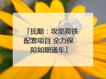 抚顺：攻坚高铁配套项目 全力保障如期通车
