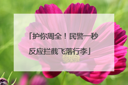 护你周全！民警一秒反应拦截飞落行李