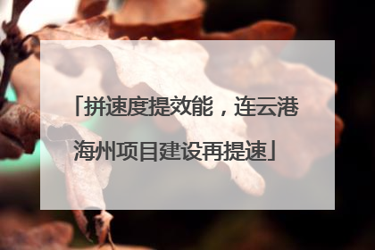 拼速度提效能，连云港海州项目建设再提速