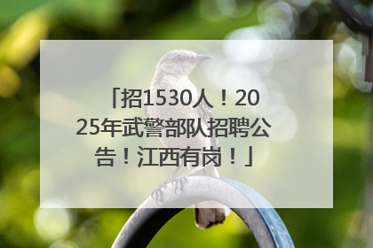招1530人！2025年武警部队招聘公告！江西有岗！