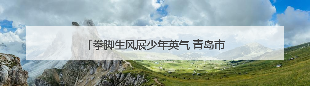 拳脚生风展少年英气 青岛市六运会武术套路赛圆满收官