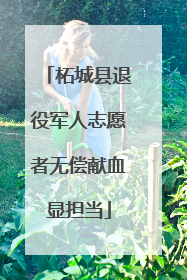 柘城县退役军人志愿者无偿献血显担当