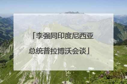 李强同印度尼西亚总统普拉博沃会谈