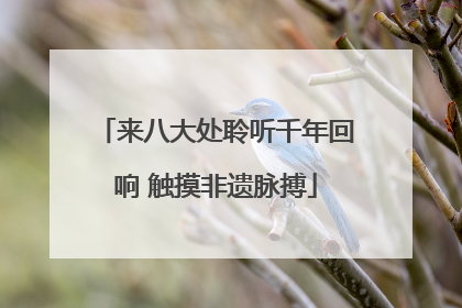 来八大处聆听千年回响 触摸非遗脉搏