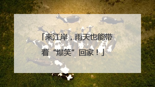 来江岸，雨天也能带着“爆笑”回家！