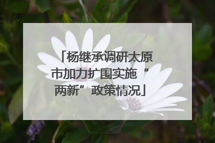 杨继承调研太原市加力扩围实施“两新”政策情况