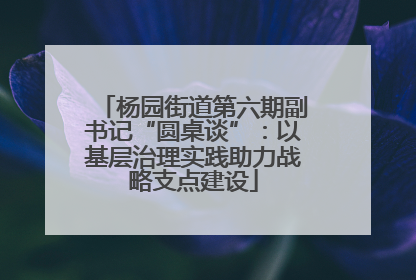 杨园街道第六期副书记“圆桌谈”：以基层治理实践助力战略支点建设