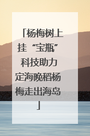 杨梅树上挂“宝瓶” 科技助力定海晚稻杨梅走出海岛
