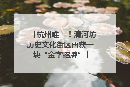 杭州唯一！清河坊历史文化街区再获一块“金字招牌”