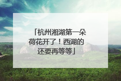 杭州湘湖第一朵荷花开了！西湖的还要再等等