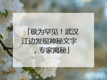极为罕见！武汉江边发现神秘文字，专家揭秘