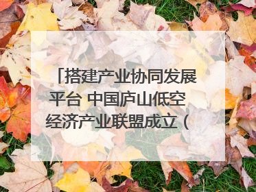搭建产业协同发展平台 中国庐山低空经济产业联盟成立（组图｜视频）
