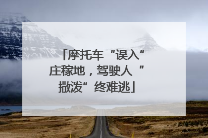 摩托车“误入”庄稼地，驾驶人“撒泼”终难逃