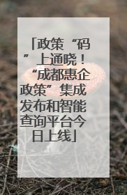 政策“码”上通晓！“成都惠企政策”集成发布和智能查询平台今日上线