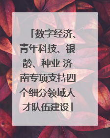 数字经济、青年科技、银龄、种业 济南专项支持四个细分领域人才队伍建设