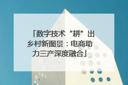 数字技术“耕”出乡村新图景：电商助力三产深度融合