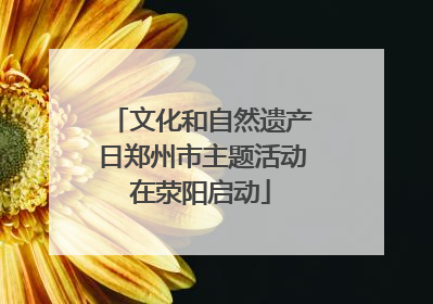 文化和自然遗产日郑州市主题活动在荥阳启动