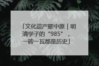 文化遗产耀中原｜明清学子的“985”，一砖一瓦都是历史