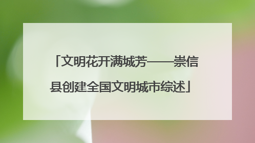 文明花开满城芳——崇信县创建全国文明城市综述