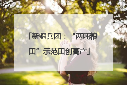 新疆兵团：“两吨粮田”示范田创高产